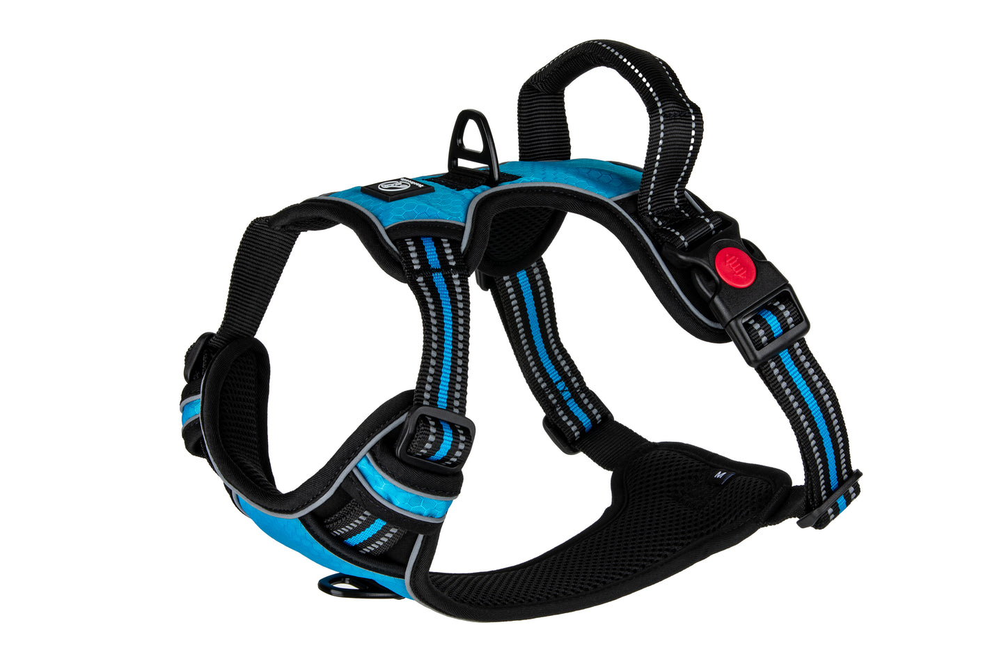 Hundegeschirr Explorer