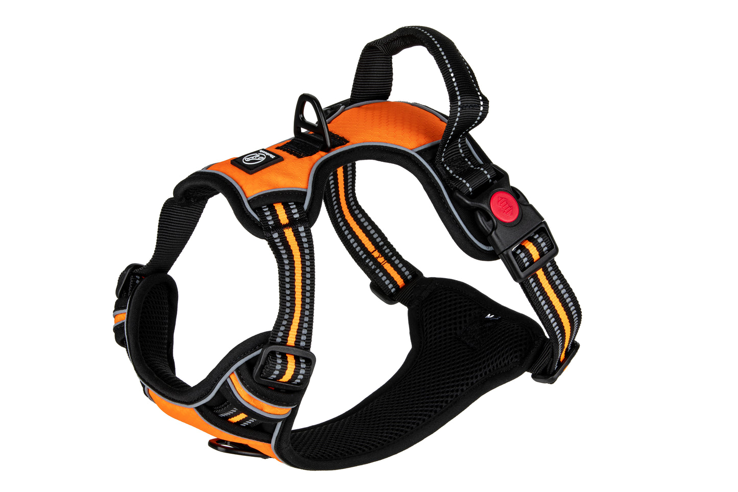 Hundegeschirr Explorer