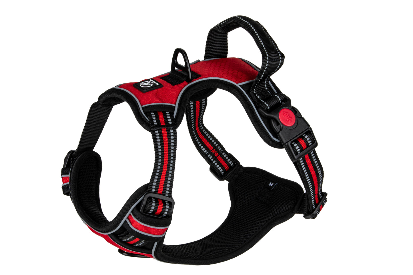 Hundegeschirr Explorer