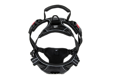 Hundegeschirr Explorer