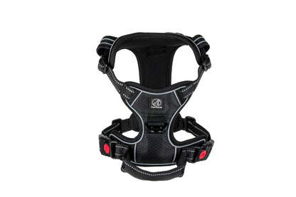 Hundegeschirr Explorer