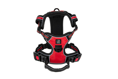 Hundegeschirr Explorer