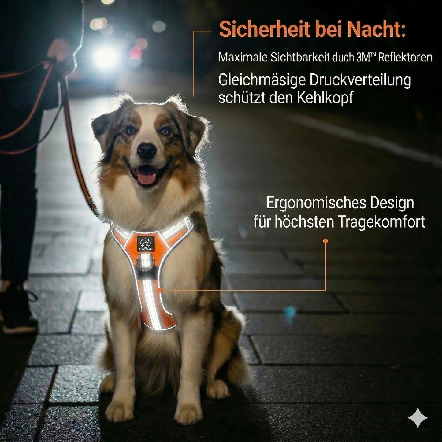 Hundegeschirr Explorer