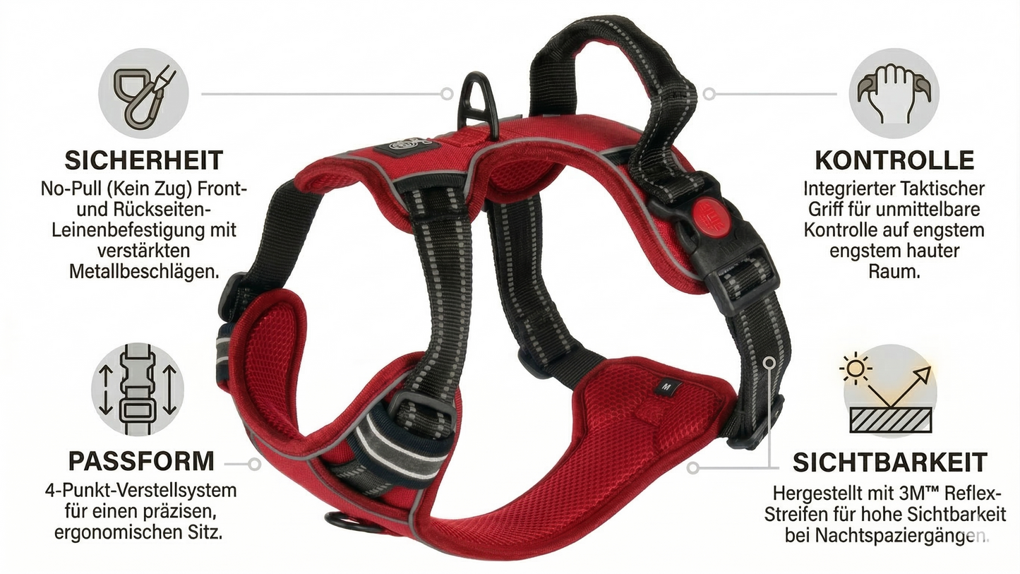 Hundegeschirr Explorer