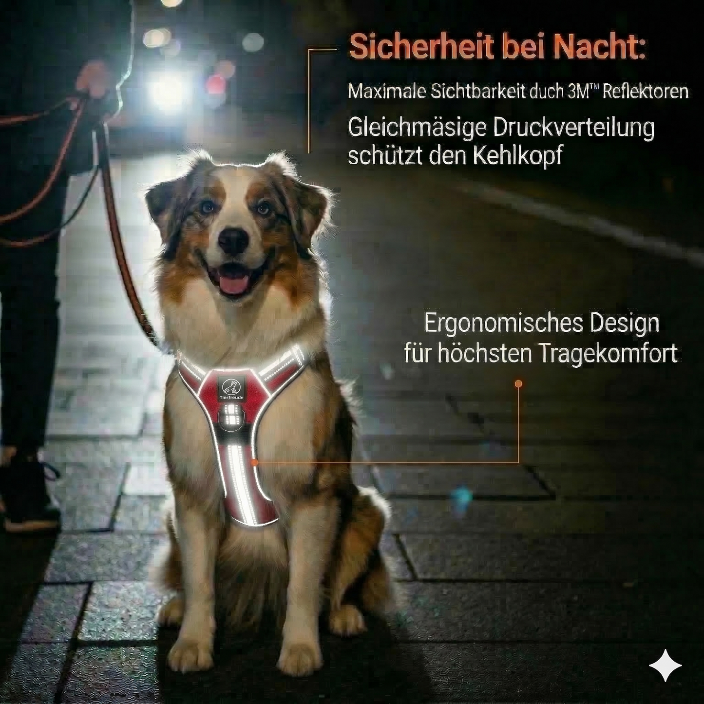 Hundegeschirr Explorer