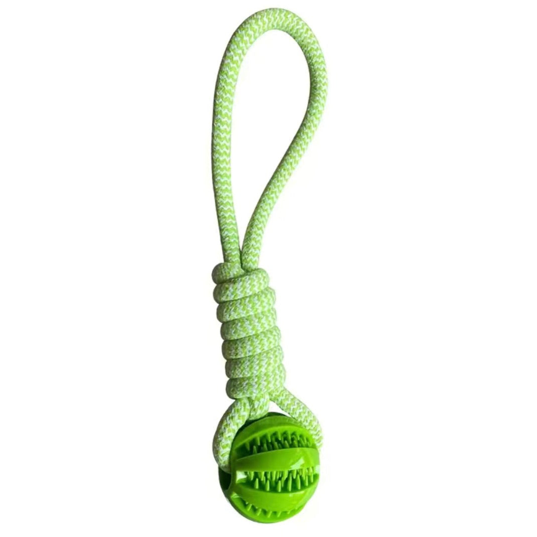Hundespielzeug: Balltau