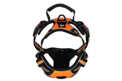 Hundegeschirr Explorer