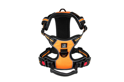 Hundegeschirr Explorer