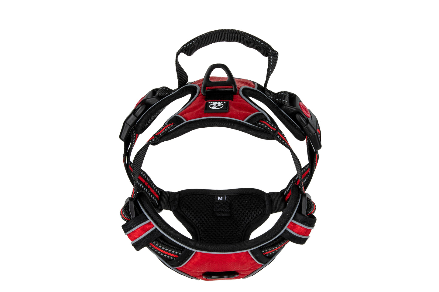 Hundegeschirr Explorer