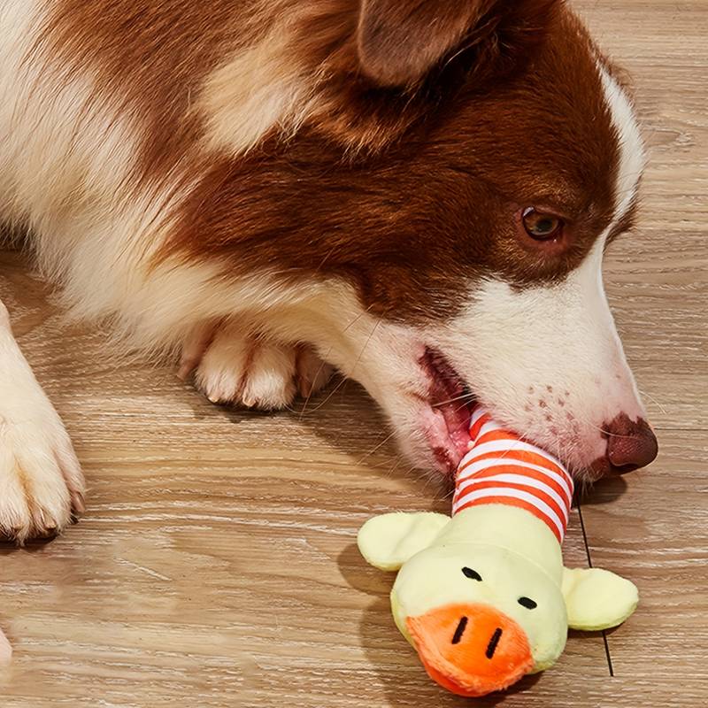 Hundespielzeug: Ente